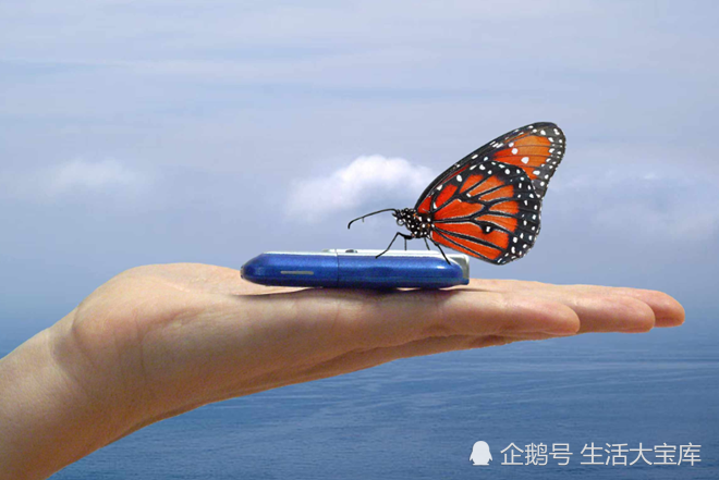 国王杯巴萨vs塞维利亚视频 国王杯巴萨vs塞维利亚视频